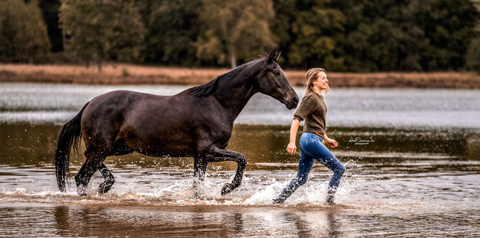 ms Marketing Consult GmbH